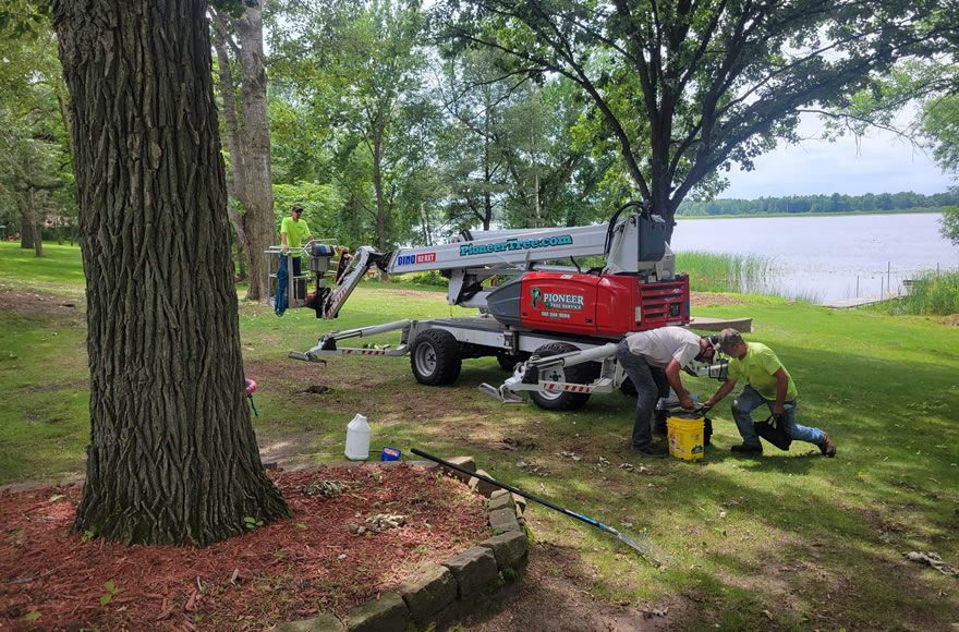 Tree Removal in Foreston, MN