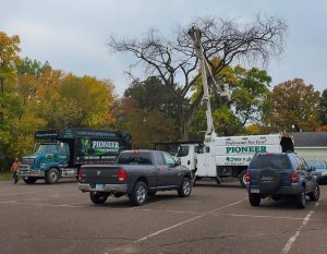 Onamia, MN Tree Removal Services Onamia, MN Tree Removal Services