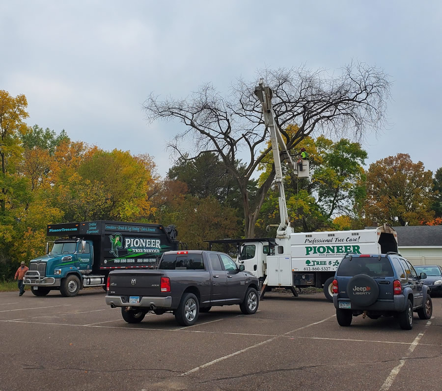 Onamia tree removal and tree pruning Onamia tree removal and tree pruning